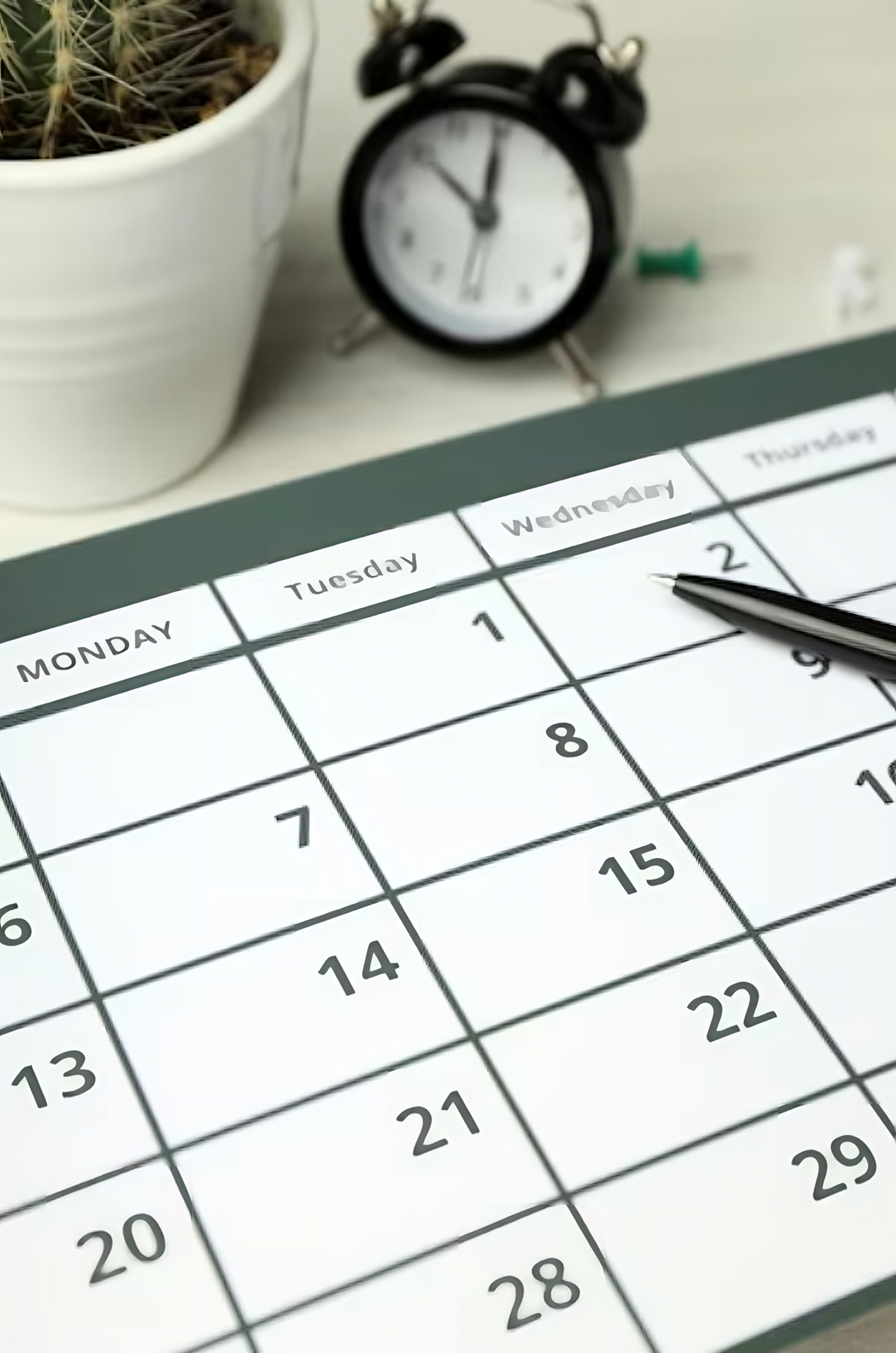 imagen_2023-09-25_191859428-transformed